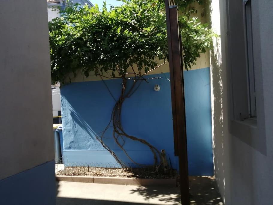 Appartement Entier, Proche Tram-Train Et Commodites, Parking Gratuit مُلووز المظهر الخارجي الصورة